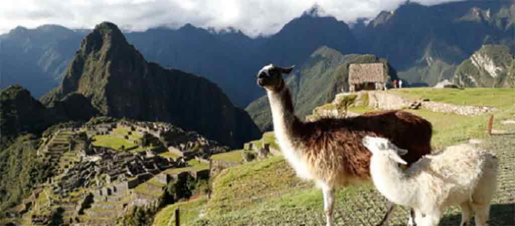 Cusco: Entradas a Machupicchu subiran a 174 soles